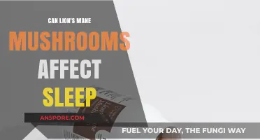 Lion's Mane Mushrooms and Sleep: Exploring Their Impact on Rest