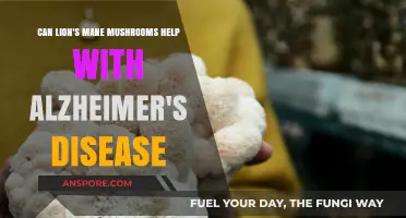 Lion's Mane Mushrooms: A Potential Alzheimer's Disease Treatment?