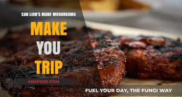 Lion's Mane Mushrooms: Do They Induce Psychedelic Trips or Not?