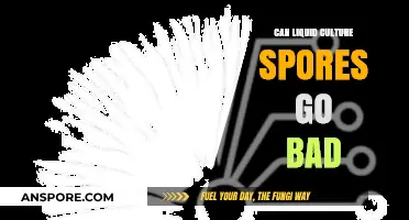 Do Liquid Culture Spores Expire? Shelf Life and Storage Tips