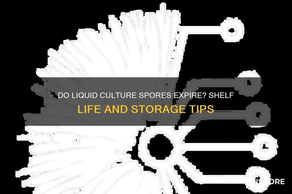 can liquid culture spores go bad