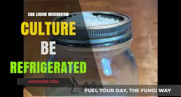 Refrigerating Liquid Mushroom Culture: Best Practices for Longevity