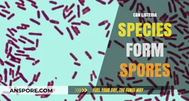 Listeria Species: Do They Form Spores? Unraveling the Truth