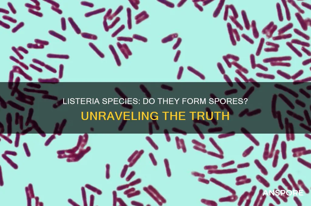 can listeria species form spores