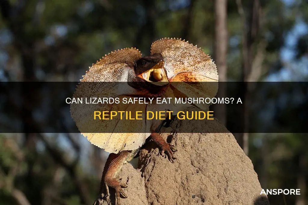 can lizards eat mushrooms