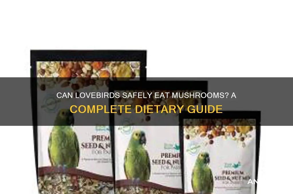can lovebirds eat mushrooms
