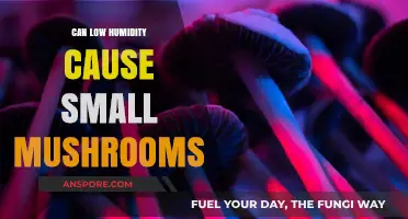 Low Humidity and Mushroom Growth: Unveiling the Surprising Connection