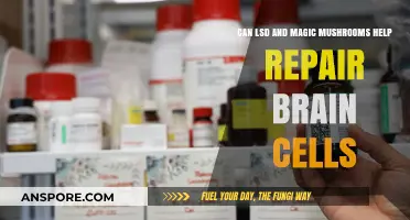 LSD and Magic Mushrooms: Potential Brain Cell Repair Breakthroughs