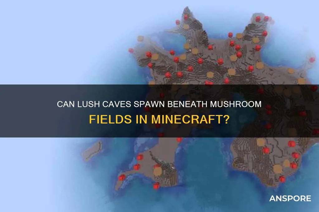 can lush biomes spawn under mushroom biomes