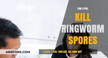 Lysol's Effectiveness: Can It Eliminate Ringworm Spores Effectively?