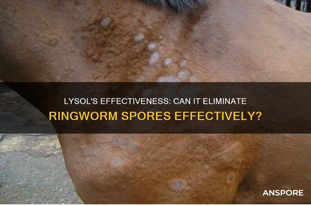 can lysol kill ringworm spores