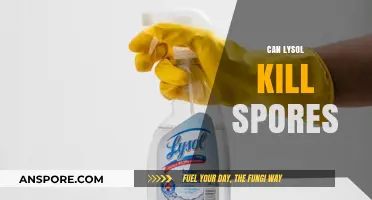 Lysol's Effectiveness Against Spores: Can It Kill Them?