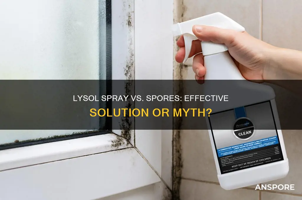 can lysol spray get rid of spores