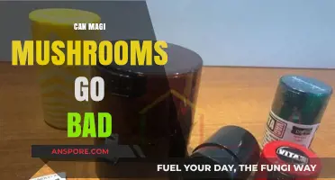 Do Magic Mushrooms Expire? Shelf Life and Storage Tips
