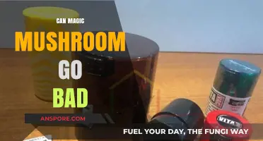 Can Magic Mushrooms Expire? Shelf Life and Storage Tips