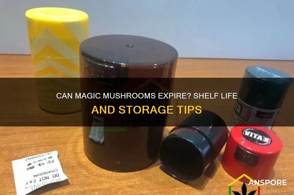 can magic mushroom go bad