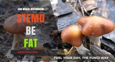 Can Magic Mushroom Stems Be Eaten? Facts and Safety Tips