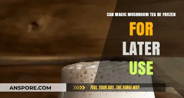 Freezing Magic Mushroom Tea: A Guide to Preserving Psychedelic Potency