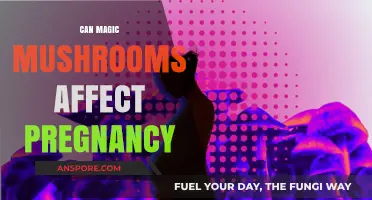 Magic Mushrooms and Pregnancy: Potential Risks and Safety Concerns