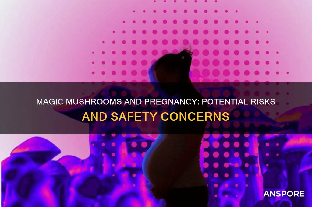 can magic mushrooms affect pregnancy