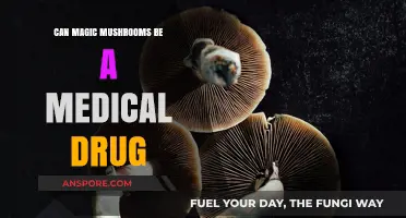 Exploring Psilocybin: Can Magic Mushrooms Revolutionize Medical Treatments?