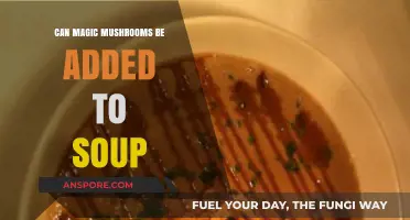 Adding Magic Mushrooms to Soup: Benefits, Risks, and Recipes