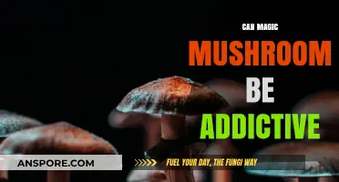 Magic Mushrooms and Addiction: Unraveling the Truth Behind Their Use