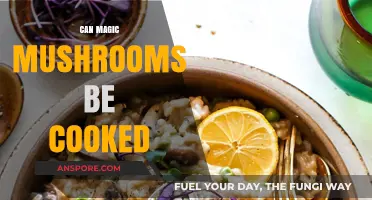Cooking with Magic Mushrooms: Safe Methods and Culinary Possibilities