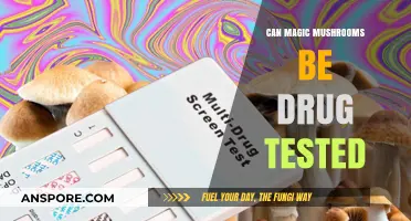Can Magic Mushrooms Show Up on Drug Tests? Here's What to Know