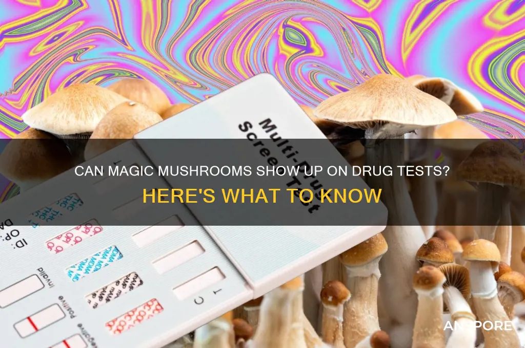can magic mushrooms be drug tested