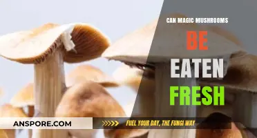 Can You Eat Magic Mushrooms Fresh? A Comprehensive Guide