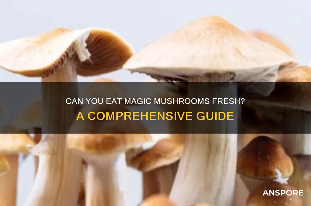 can magic mushrooms be eaten fresh
