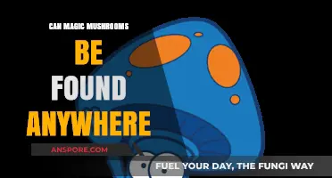 Exploring the Global Presence of Magic Mushrooms: Where Can They Grow?