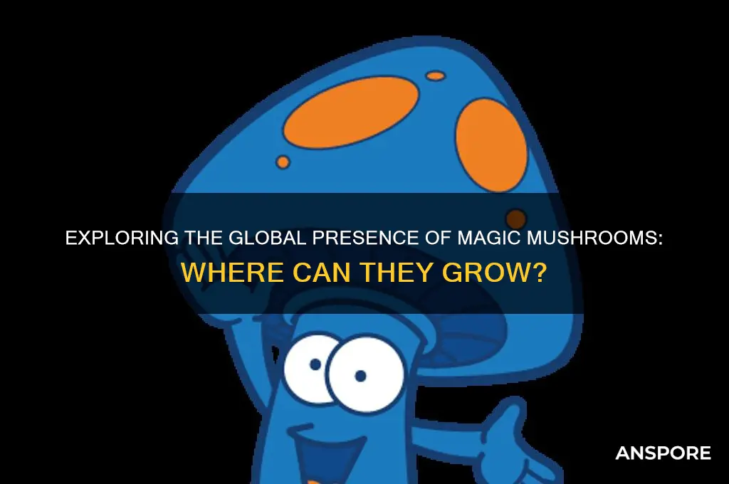 can magic mushrooms be found anywhere