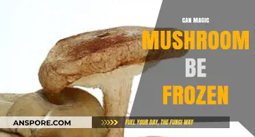 Freezing Magic Mushrooms: Preservation Tips and Best Practices Explained