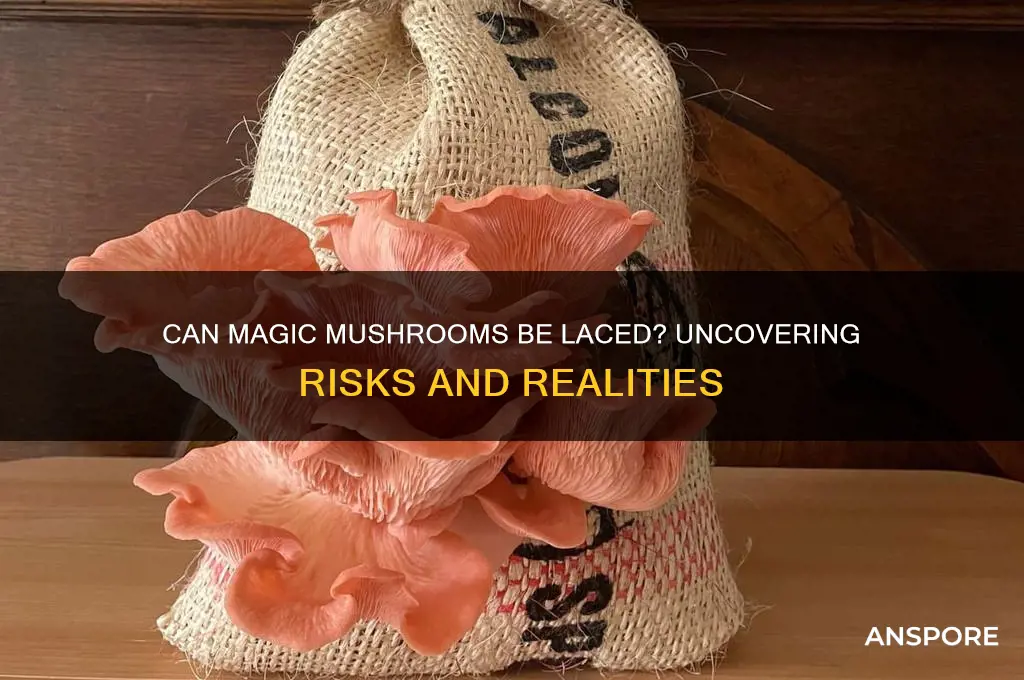 can magic mushrooms be laced