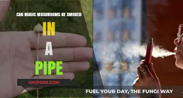Smoking Magic Mushrooms in a Pipe: Risks, Effects, and Alternatives