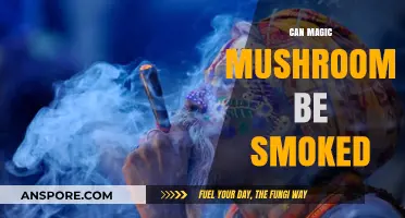 Can Magic Mushrooms Be Smoked? Exploring Alternative Consumption Methods
