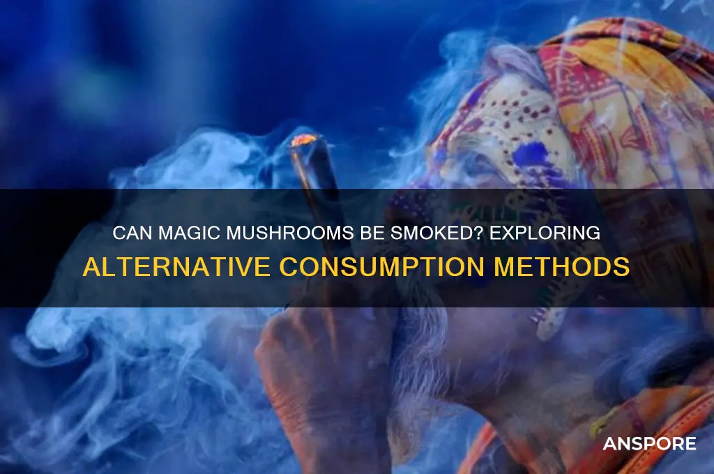 can magic mushrooms be smoked