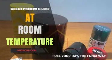 Storing Magic Mushrooms: Room Temperature Tips and Best Practices