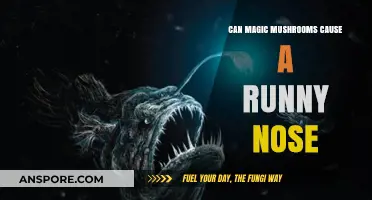 Magic Mushrooms and Runny Noses: Unraveling the Nasal Connection