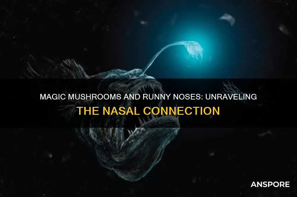 can magic mushrooms cause a runny nose