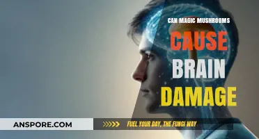 Magic Mushrooms and Brain Health: Separating Fact from Fiction