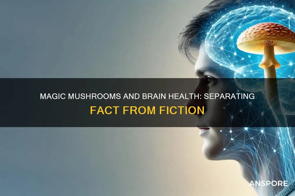 can magic mushrooms cause brain damage