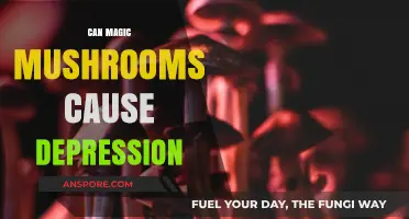 Magic Mushrooms and Mental Health: Exploring Links to Depression