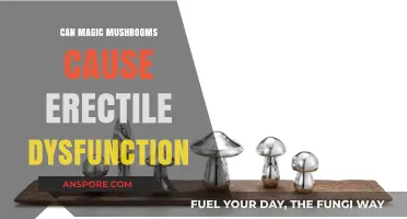 Magic Mushrooms and Erectile Dysfunction: Unraveling the Connection