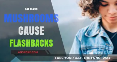 Magic Mushrooms and Flashbacks: Unraveling the Psychedelic Aftereffect Mystery