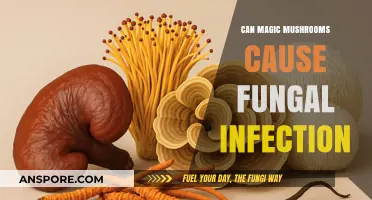 Magic Mushrooms and Fungal Infections: Separating Fact from Fiction