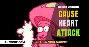 Magic Mushrooms and Heart Health: Uncovering Potential Cardiac Risks