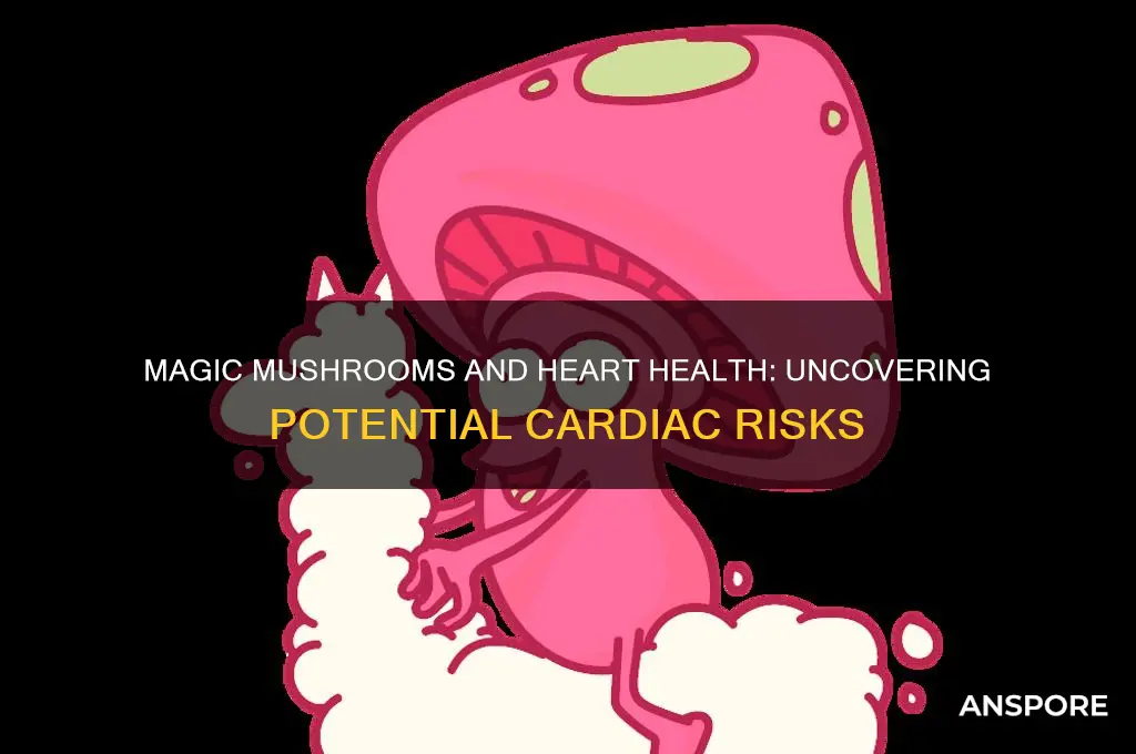can magic mushrooms cause heart attack